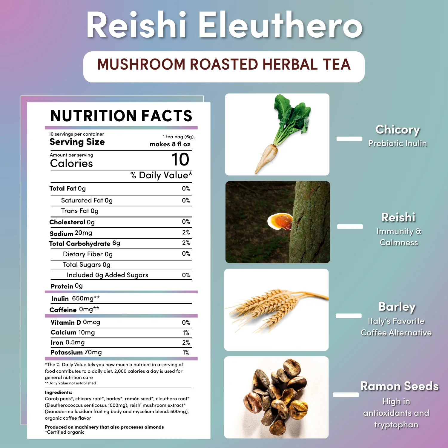 Reishi Eleuthero French Roast Mushroom Herbal Tea - Image 15