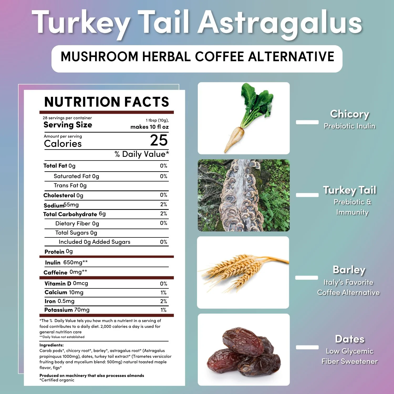 Turkey Tail Astragalus Toasted Maple Mushroom Herbal Coffee - Image 4